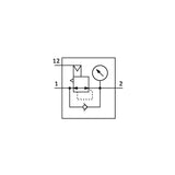 Pressure regulator MS12-LR-G-PO
