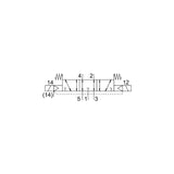 VSVA-B-P53E-Z-D2-1T1L