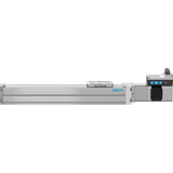 ELGS-BS-KF-45-200-10P-ST-M-H1-PLK-AA